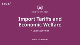 Import Tariffs and Economic Welfare  A Level and IB Economics [upl. by Tiena]