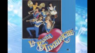 TIMBIRICHE INSTRUMENTAL ORIGINAL MEXICO [upl. by Darra869]