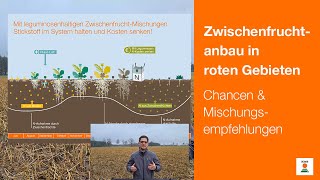 Zwischenfruchtanbau in roten Gebieten Chancen amp Mischungsempfehlungen [upl. by Acnoib]