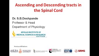 Ascending and Descending Tracts in the Spinal cord [upl. by Tedric931]