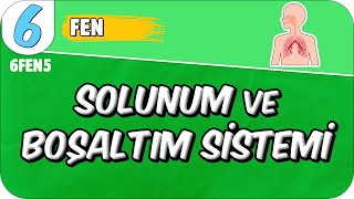 Solunum ve Boşaltım Sistemi 📗 6FEN5 2025 [upl. by Garson]