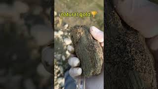 We got natural gold stone while digging of earth🌎 stones metaldetecting americandiamindstone gem [upl. by Jase]