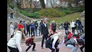 NYC Flash Mob Proposal  Central Park [upl. by Flem415]