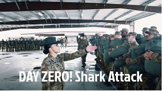 DAY ZERO “The Shark Attackquot [upl. by Job]