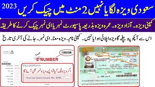 saudi ka visa kaise check kare online 2023  visa kaise check kare  visa check online saudi arabia [upl. by Yt]