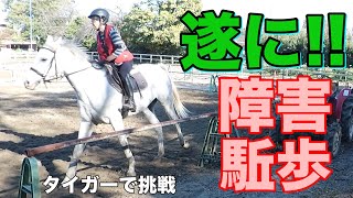 【乗馬初心者】他の馬でもツーポイント駈歩出来た！スリーポイントにすると止まっちゃう！騎座で推進して継続にチャレンジ！ [upl. by Nuajed]