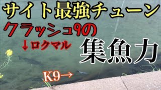 【クラッシュ9】ロクマルがこぞって反応するチューン [upl. by Ahl]