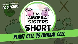 Plant vs Animal Cell  Amoeba Sisters Shorts [upl. by Janice]