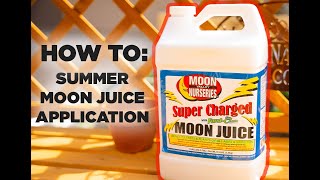 How To Summer Moon Juice Application [upl. by Jt]