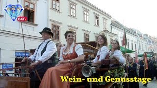 23 8 2017  Wein amp Genusstage Eisenstadt 2017 eröffnet  CCMTVat [upl. by Monique]