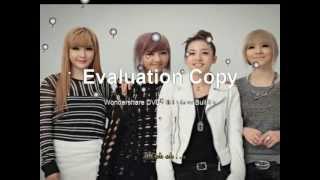 2NE1  Like A Virgin Cover LYRICS [upl. by Lemhar]