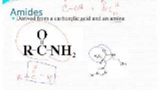 Amides [upl. by Eugenle]