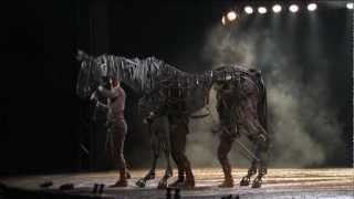 War Horse Toronto Puppet Teams [upl. by Byrne]