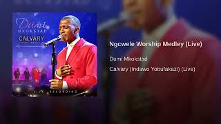 Ngcwele Ngcwele Kubo Bonke amp We Give You All The Glory Medley  Dumi Mkokstad Worship [upl. by Asnarepse]