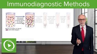 Immunodiagnostic Methods – Immunology  Lecturio [upl. by Hortense]