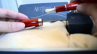 1911 Nettuno Fountain Pen Review  Short Video [upl. by Bekha684]