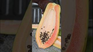 Organic Fresh Papaya Fruit from Aburi Ghana  Juicy Harvest Experience [upl. by Rolf]