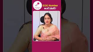 Normal Egg Count for Pregnancy Telugu  Top Fertility Doctors  shorts ytshorts [upl. by Assylla907]