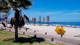 Iquique 4K Vistas de esta hermosa ciudad con bellas playas y mucho mas para visitar [upl. by Gelman]