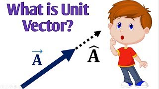 Unit Vector Explained UrduHindi [upl. by Enytnoel]