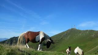 Hegoak  Pays Basque [upl. by Yditsahc]