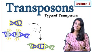 Transposable element I Types of Transposons I I DNA Transposons I Part I How transposon work [upl. by Itsirhc]