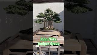 John Naka Juniper Bonsai  National Bonsai and Penjing Museum [upl. by Elicec]