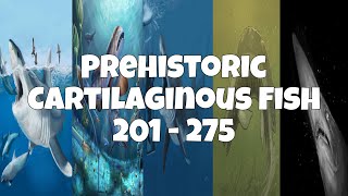 Prehistoric Cartilaginous Fish 201  275 55 [upl. by Tnemelc131]