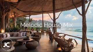 Melodic House Mix 2024  SultanShepard Le Youth Lane 8 Tinlicker Massane Rinzen Klur Praana [upl. by Adnac]