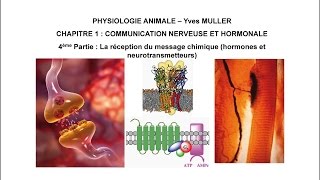 Chapitre 14 La réception du message chimique hormones et neurotransmetteurs [upl. by Elleirol]