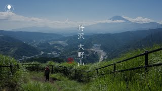 丹沢 大野山 山北つぶらの公園から【登山・日帰り・車・2021年夏・神奈川県】Tanzawa Mountains [upl. by Appel309]