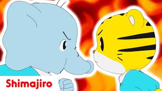 Shimajiro gets angry 😡 What happened to him Lets find out  Kindergarten special  Shimajiro [upl. by Afihtan279]