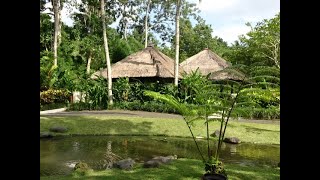 Four Seasons Resort Sayan at Ubud Bali [upl. by Langston]