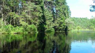 Oswego River Kayak Trip NJ Pine Barrens [upl. by Trant]