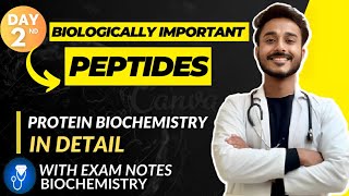 biologically important peptides biochemistry  functions of glutathione  protein biochemistry [upl. by Eilac]