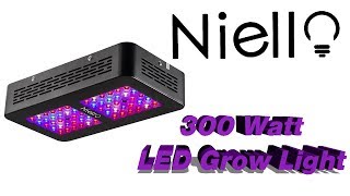 Testing The Niello 300 Watt LED Grow Light [upl. by Innoj877]