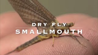 Dry Fly Smallmouth Bass  Hexagenia Mayflies [upl. by Stroup]