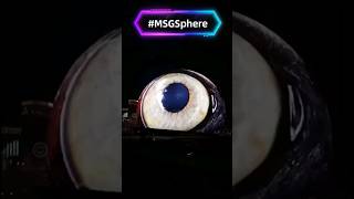 MSG Sphere Las Vegas A Cosmic Concert Experience MSGSphere [upl. by Ploss]