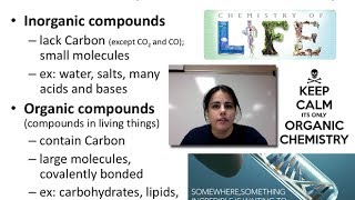 Biochem amp Carbohydrates Unit 1  Video 5A [upl. by Cut68]