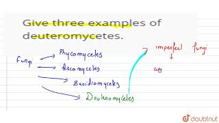 Give three examples of deuteromycetes [upl. by Jim]