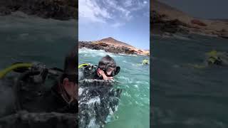 ⚠️😳 playa buceo peces canarias snorkeling viajes peligro animales [upl. by Hsoj316]