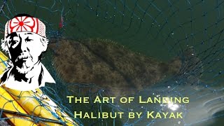 How to land a Halibut [upl. by Ragde809]