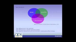 Behavioral Neuroscience Sex Differences in Brain and Behavior [upl. by Eirret]