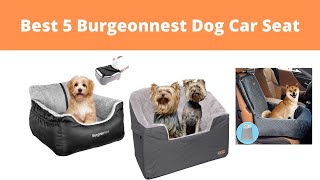 Best 5 Burgeon Nest Dog Car Seat Reviews  Burgeonnest [upl. by Meli494]