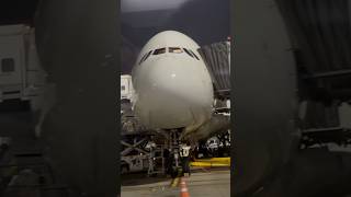 Singapore double decker flight flightvideo flightcrash flightvideo viralvideo shortvideo yt [upl. by Bilak]