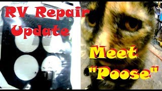 Ford E350 RV Exhaust Repair Update 2 amp Meet quotPoose  Poosequot the Cat [upl. by Nahej838]