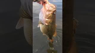 Fallstreak hole cavum cloud and great lakes largemouth bass [upl. by Hagan758]