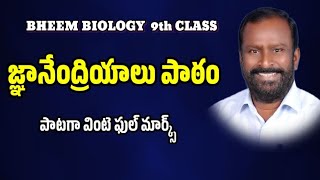 sense organs 9th classsense organs lesson assongramchanderbheemvamshi [upl. by Aneehsirk4]