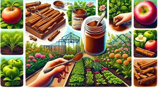 Gardeners are raving about cinnamon – here’s why your plants need it NOW [upl. by Japheth401]