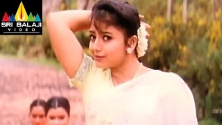 Suryudu Video Songs  Selayetiki Video Song  Rajasekhar Soundarya  Sri Balaji Video [upl. by Vasti562]